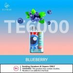 ElfBar TE6000 Puffs Disposable Blueberry in UAE