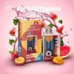 ElfBar TE6000 Puffs Disposable Peach Mango Watermelon UAE