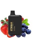 GTMBAR Portar 5000 Puffs Disposable Vape - Image 3