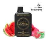 GTMBAR Portar 5000 Puffs Disposable Vape - Image 2