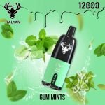 Kalyan 12000 Puffs Disposable Vape Gum Mints UAE