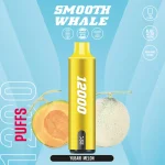 Smooth Whale 12000 Puffs Disposable Vape - Image 9