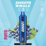 Smooth Whale 12000 Puffs Disposable Vape - Image 8