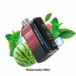 Oxbar Magic Maze 2 30000 Puffs Disposable Vape Watermelon Mint in UAE