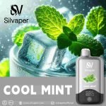 Silvaper 15000 Puffs Disposable Vape Cool Mint in Dubai