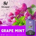 Silvaper 15000 Puffs Disposable Vape Grape Mint in UAE
