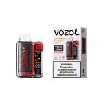 VOZOL Vista 20000 Puffs Disposable Vape Strawberry Raspberry Cherry in UAE