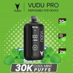 VUDU PRO 30000 Puffs Cool Mint in UAE