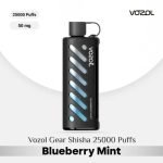 Vozol Gear Shisha 25000 Puffs DTL Disposable Pod Blueberry Mint in UAE