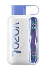 Vozol Star 40000 Puffs Disposable Vape Blueberry Mint in UAE