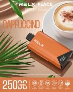 RELX Peace 25000 Puffs Disposable Vape Cappuccino in UAE
