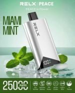 RELX Peace 25000 Puffs Disposable Vape Miami Mint in UAE